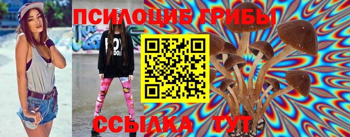 Галлюциногенные грибы мухоморы Тельмана